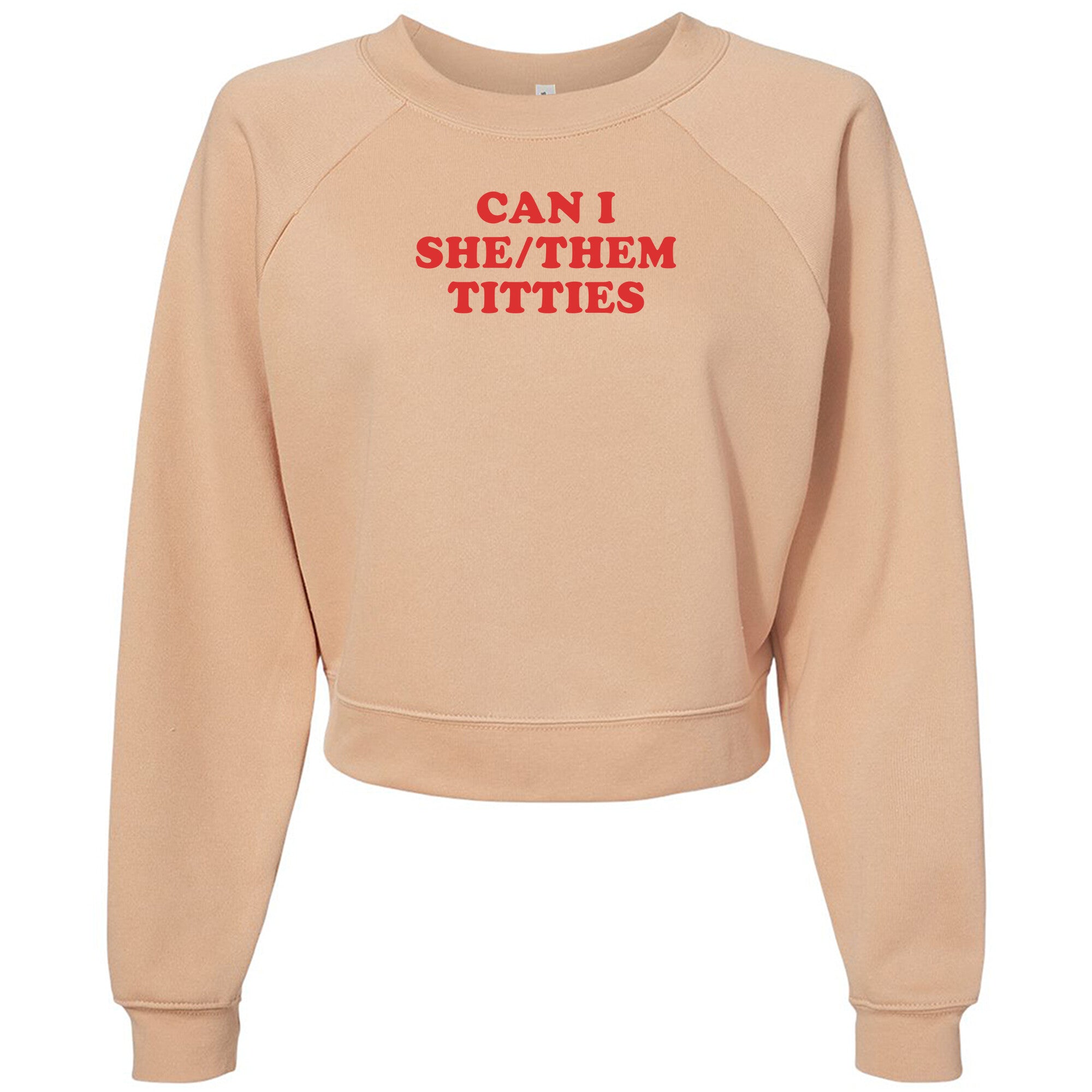 Can I She/Them Titties? Womens Raglan Pullover Fleece