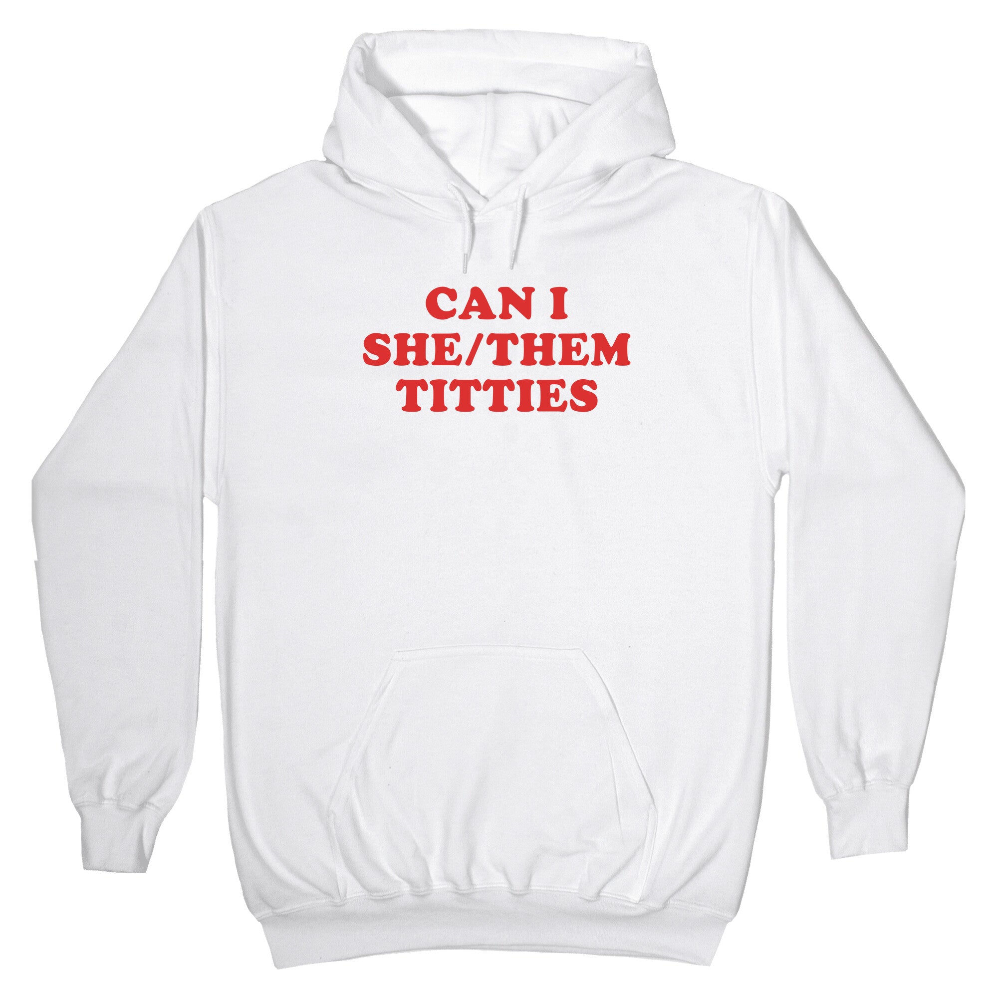 Can I She/Them Titties? Hoodie