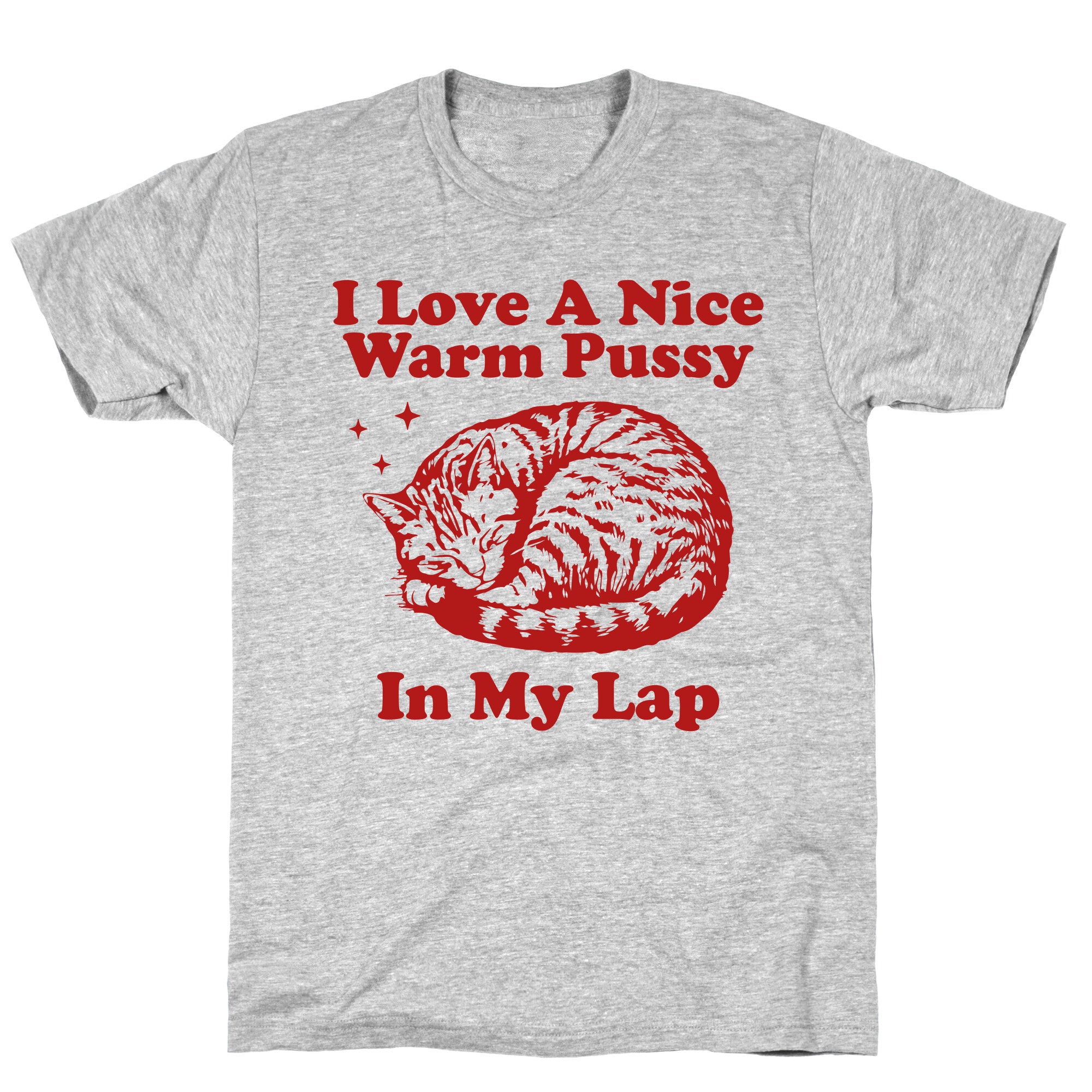 I Love A Nice Warm Pussy In My Lap T-Shirt