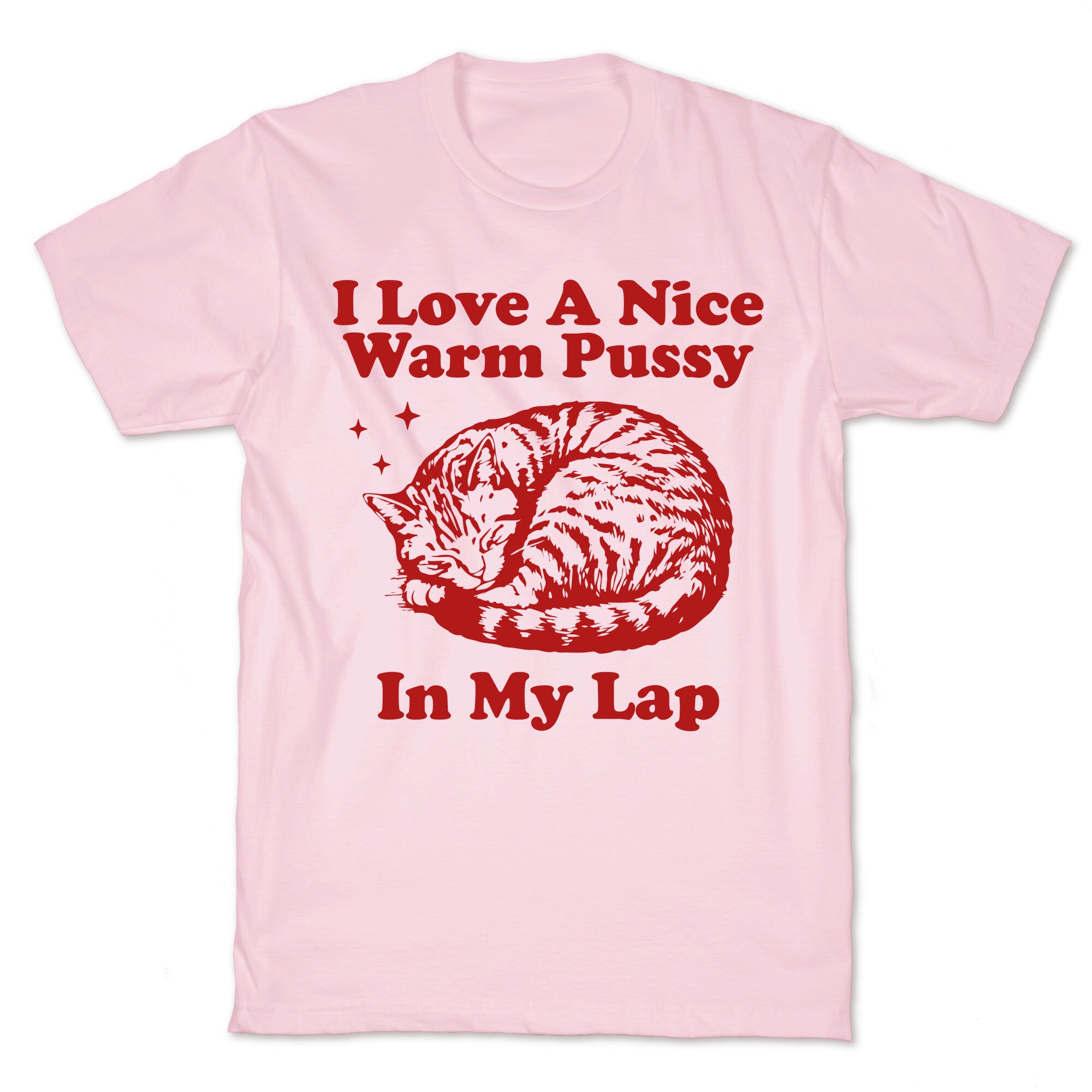 I Love A Nice Warm Pussy In My Lap T-Shirt