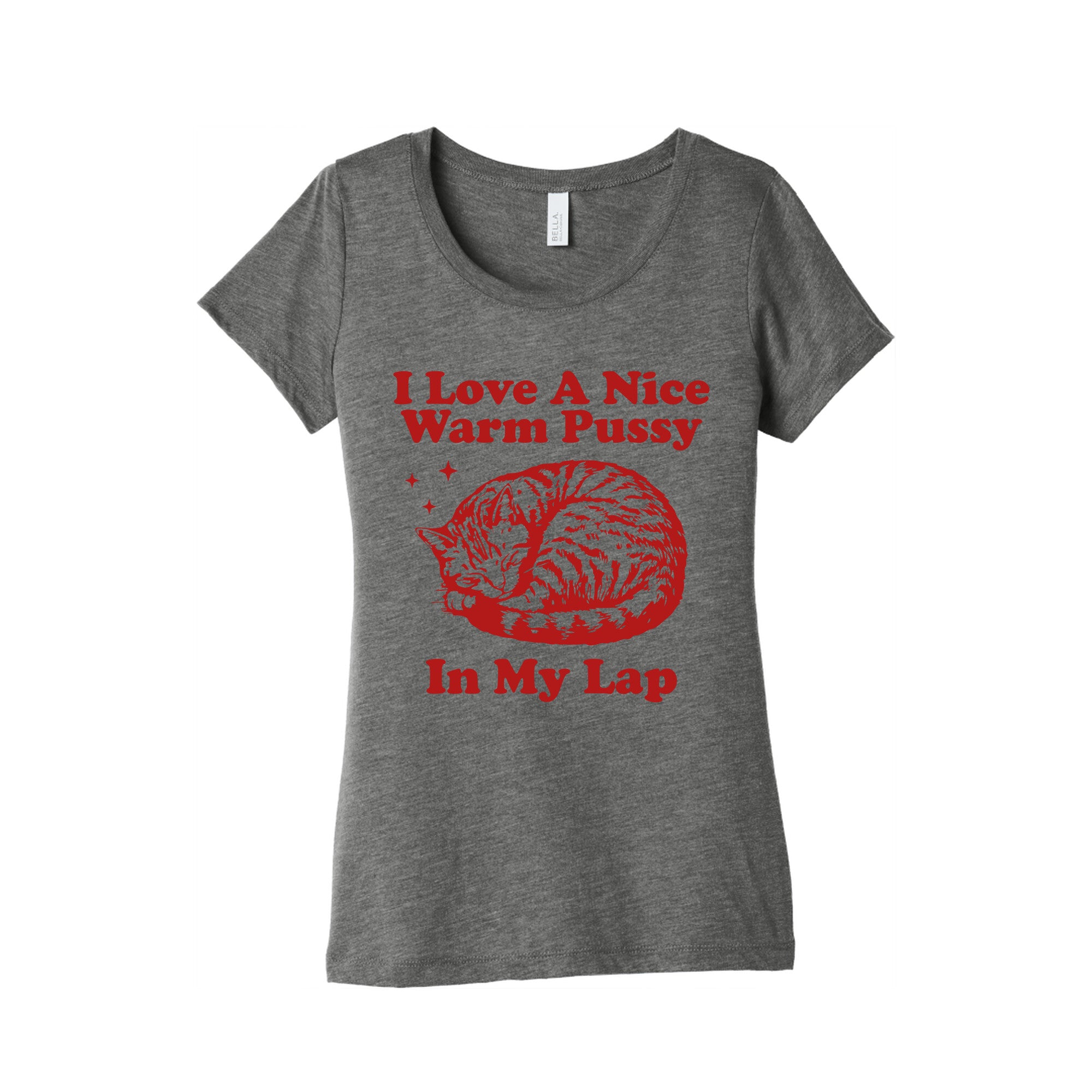 I Love A Nice Warm Pussy In My Lap Womens Triblend Tee