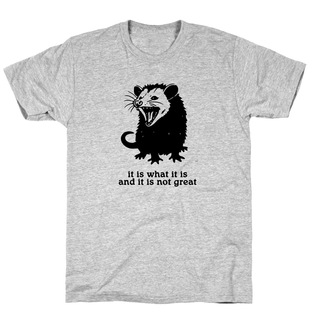 It Is What It Is T-Shirt