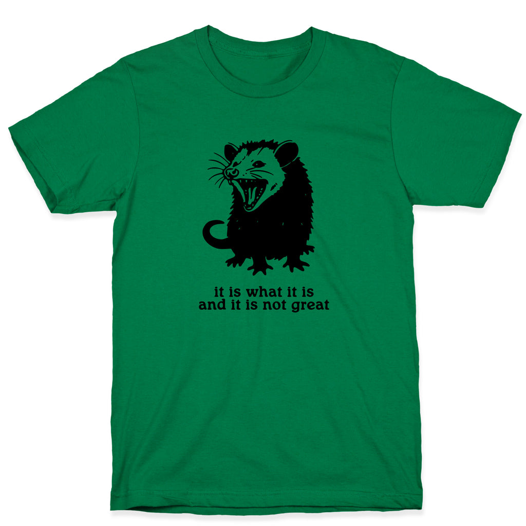 It Is What It Is T-Shirt