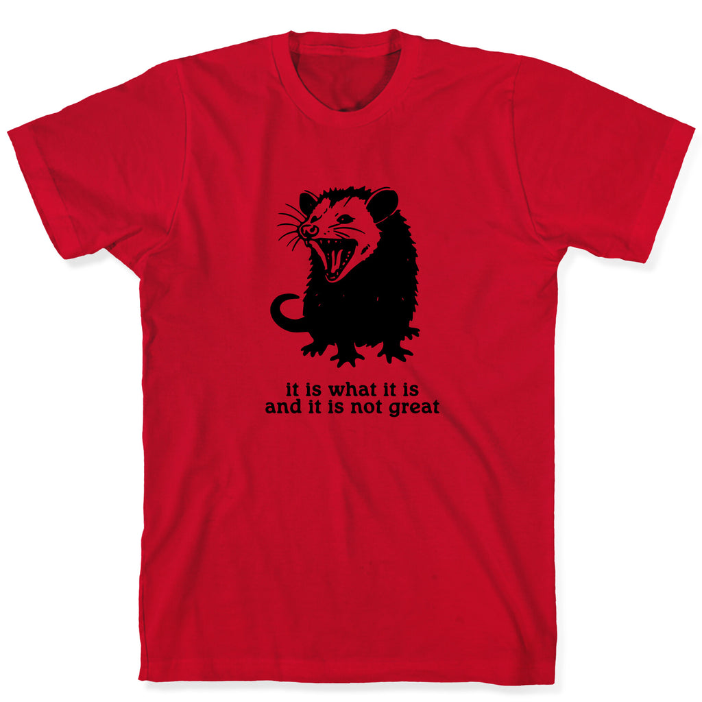 It Is What It Is T-Shirt