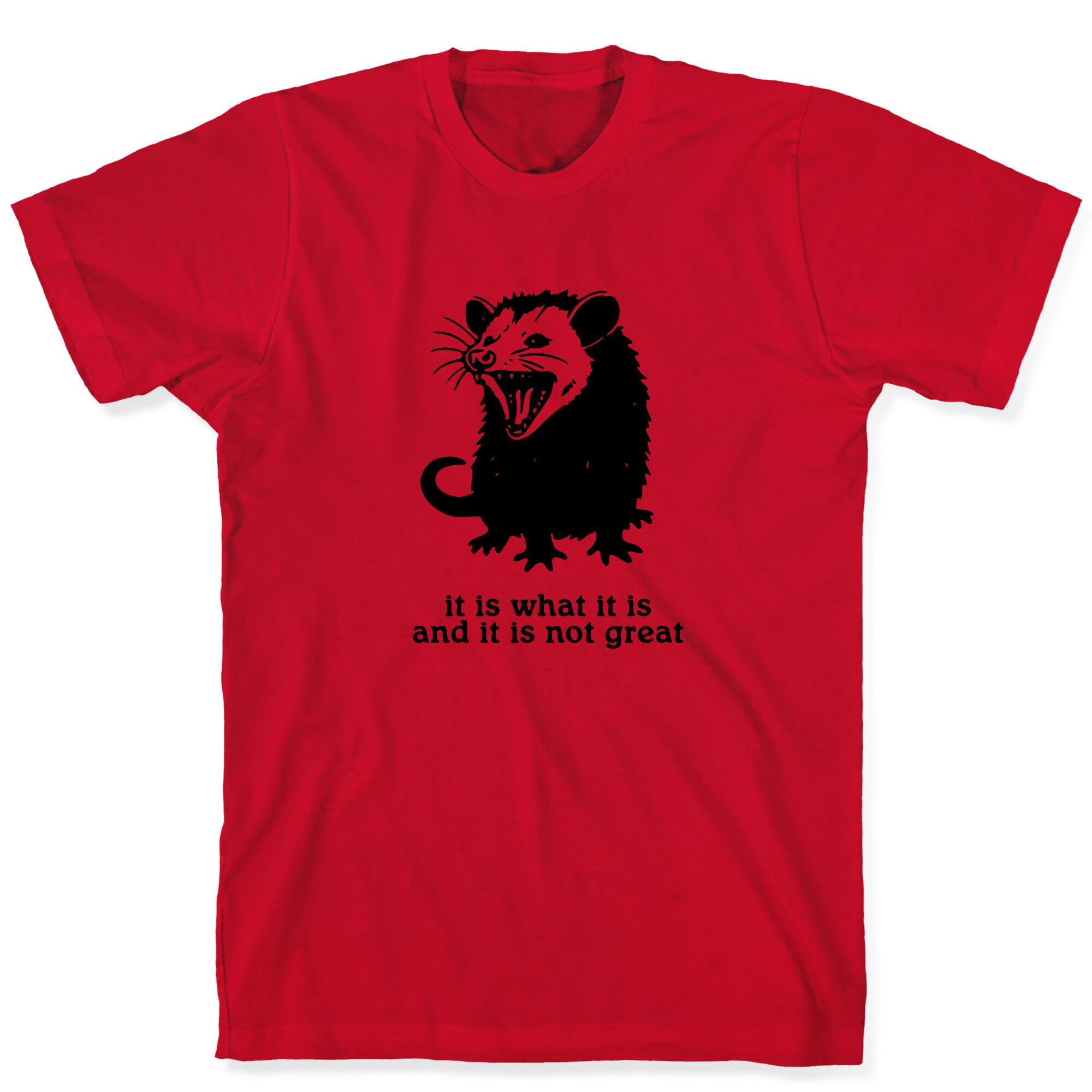 It Is What It Is T-Shirt