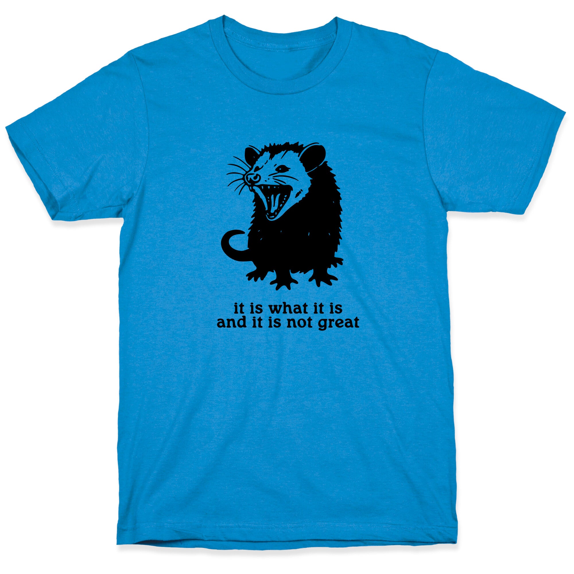 It Is What It Is T-Shirt