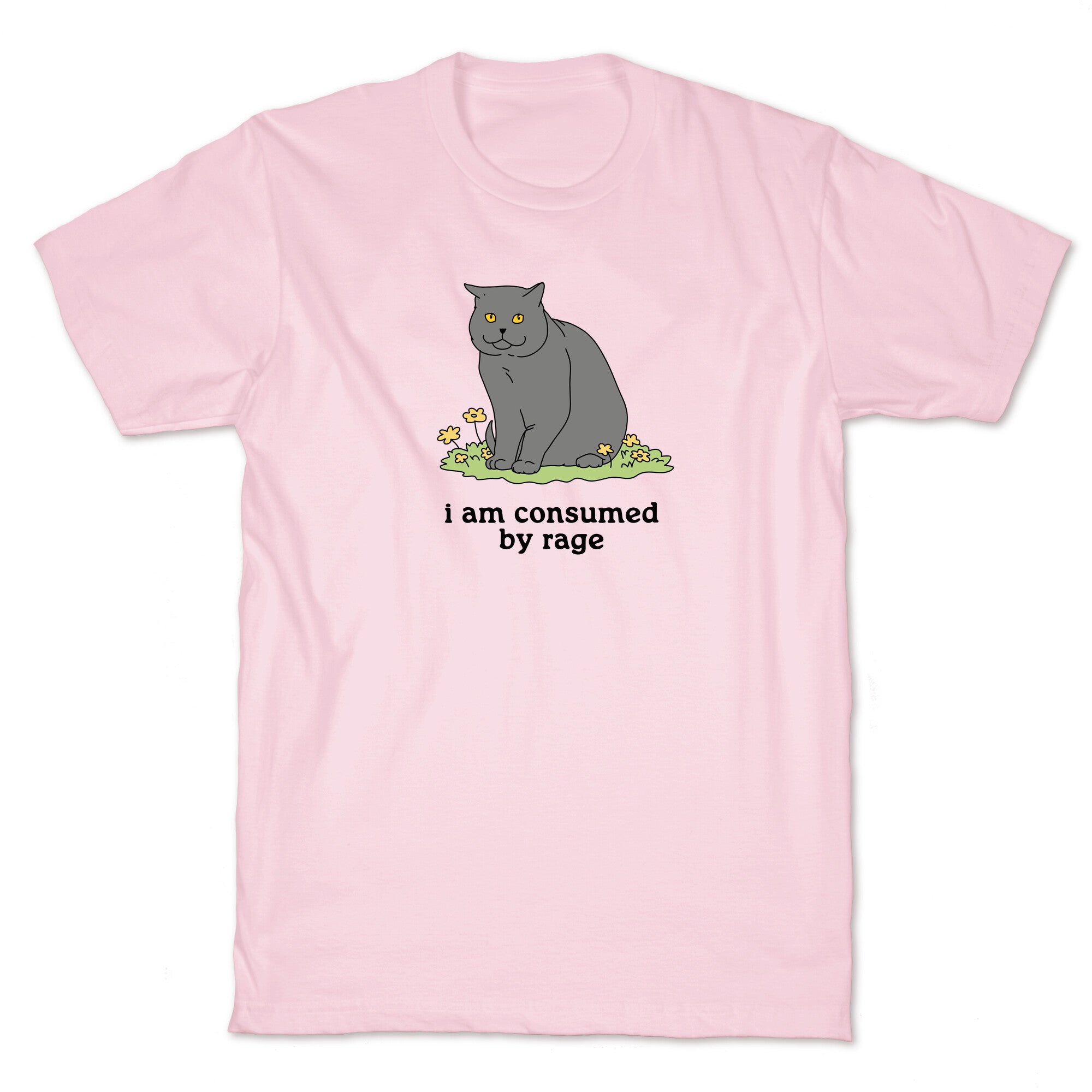 Consumed By Rage T-Shirt