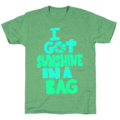 Sunshine in a Bag Unisex Triblend Tee