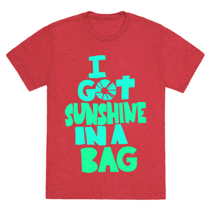 Sunshine in a Bag Unisex Triblend Tee