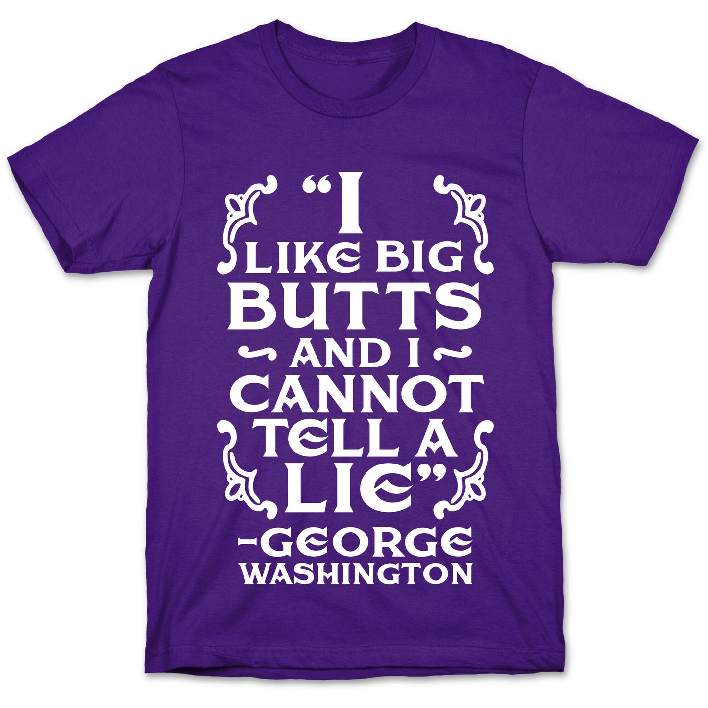 I Like Big Butts And I Cannot Tell A Lie  T-Shirt