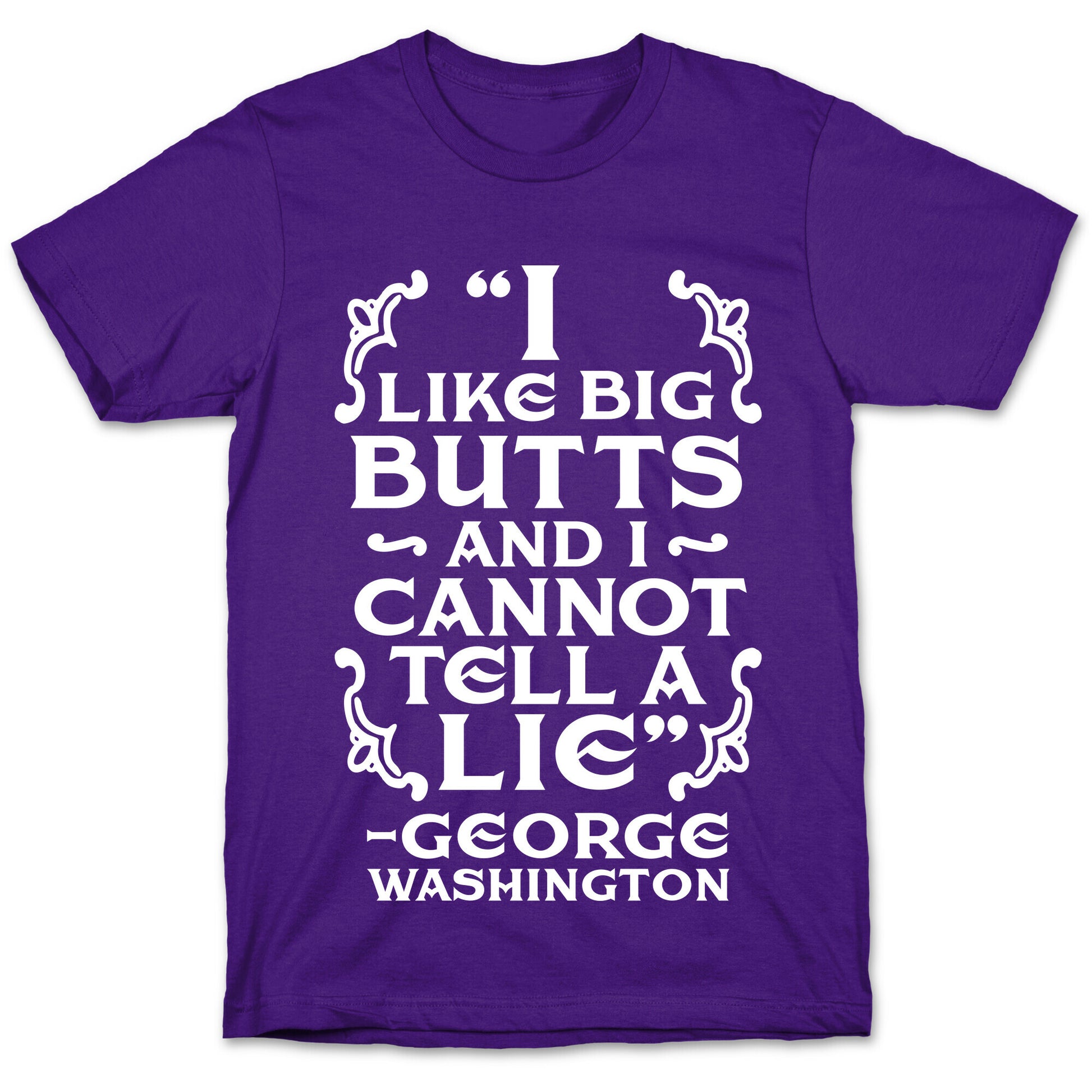I Like Big Butts And I Cannot Tell A Lie  T-Shirt