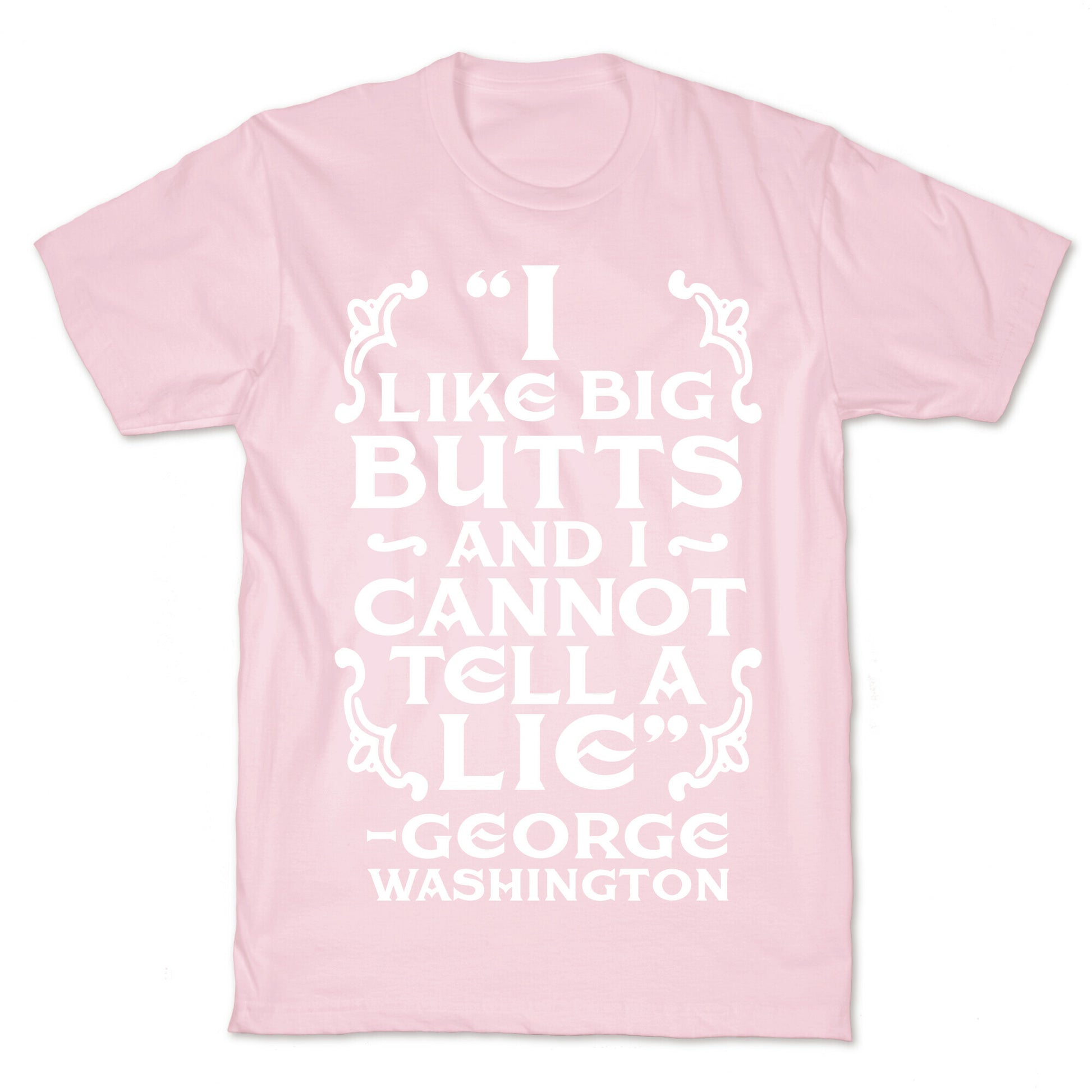 I Like Big Butts And I Cannot Tell A Lie  T-Shirt