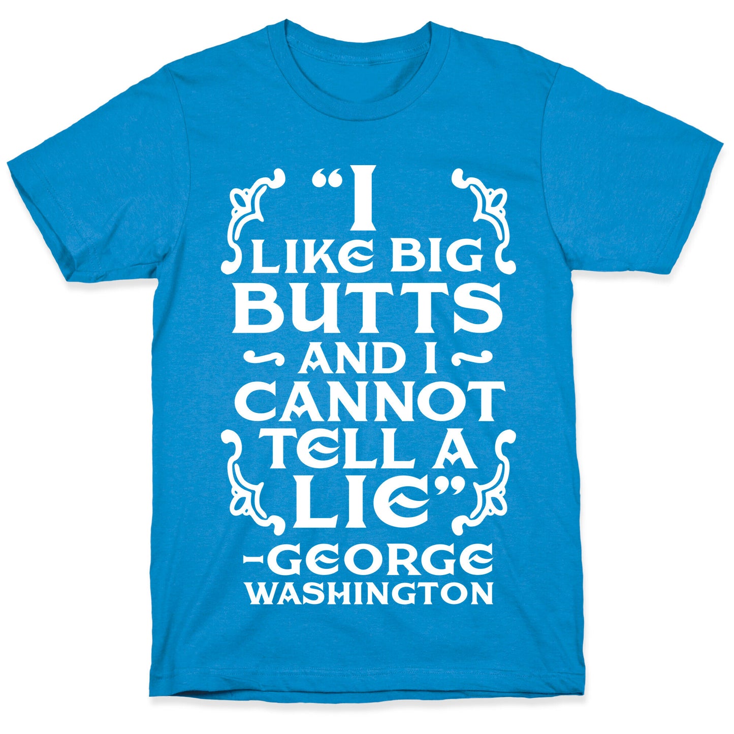 I Like Big Butts And I Cannot Tell A Lie  T-Shirt