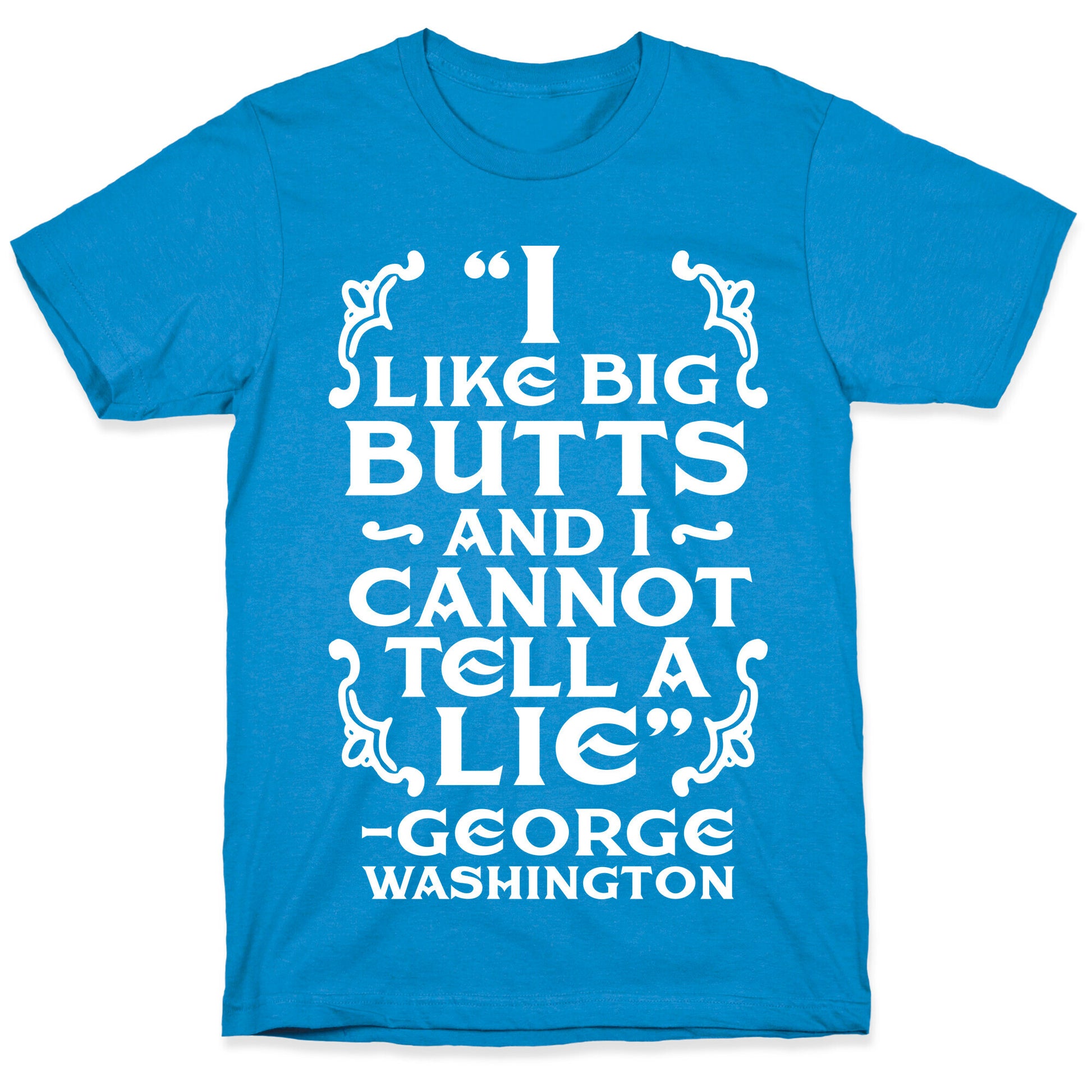 I Like Big Butts And I Cannot Tell A Lie  T-Shirt