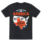 United States of Texas Unisex Triblend Tee
