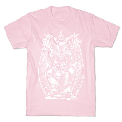 Pet Cats. Hail Satan. T-Shirt