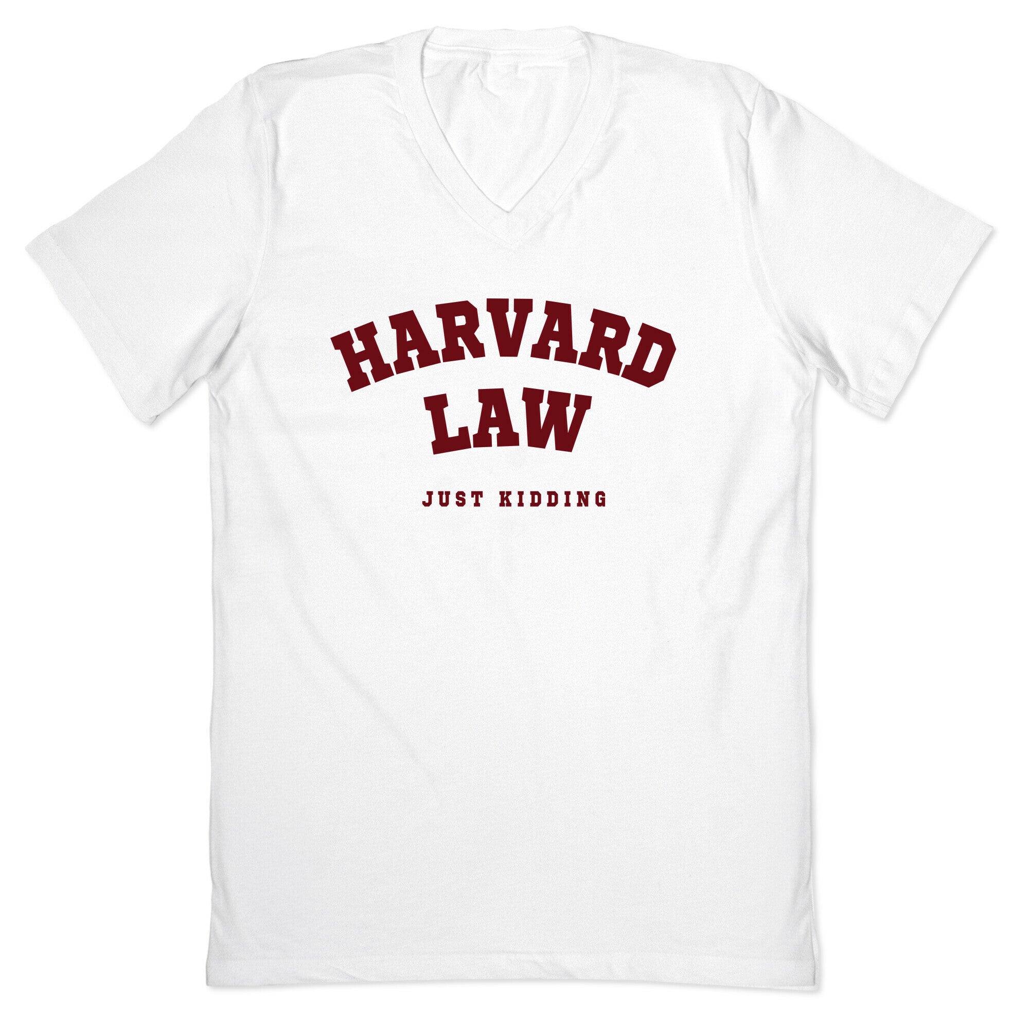 Harvard Law (Just Kidding) V-Neck