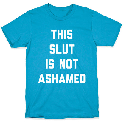 This Slut Is Not Ashamed Unisex Triblend Tee