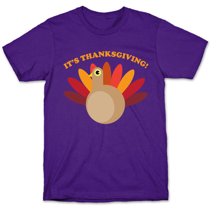 IT'S THANKSGIVING T-Shirt