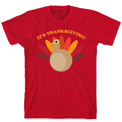 IT'S THANKSGIVING T-Shirt