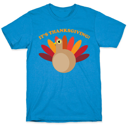 IT'S THANKSGIVING T-Shirt