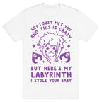 I Just Met You and This is Crazy But Here's my Labyrinth I Stole Your Baby T-Shirt