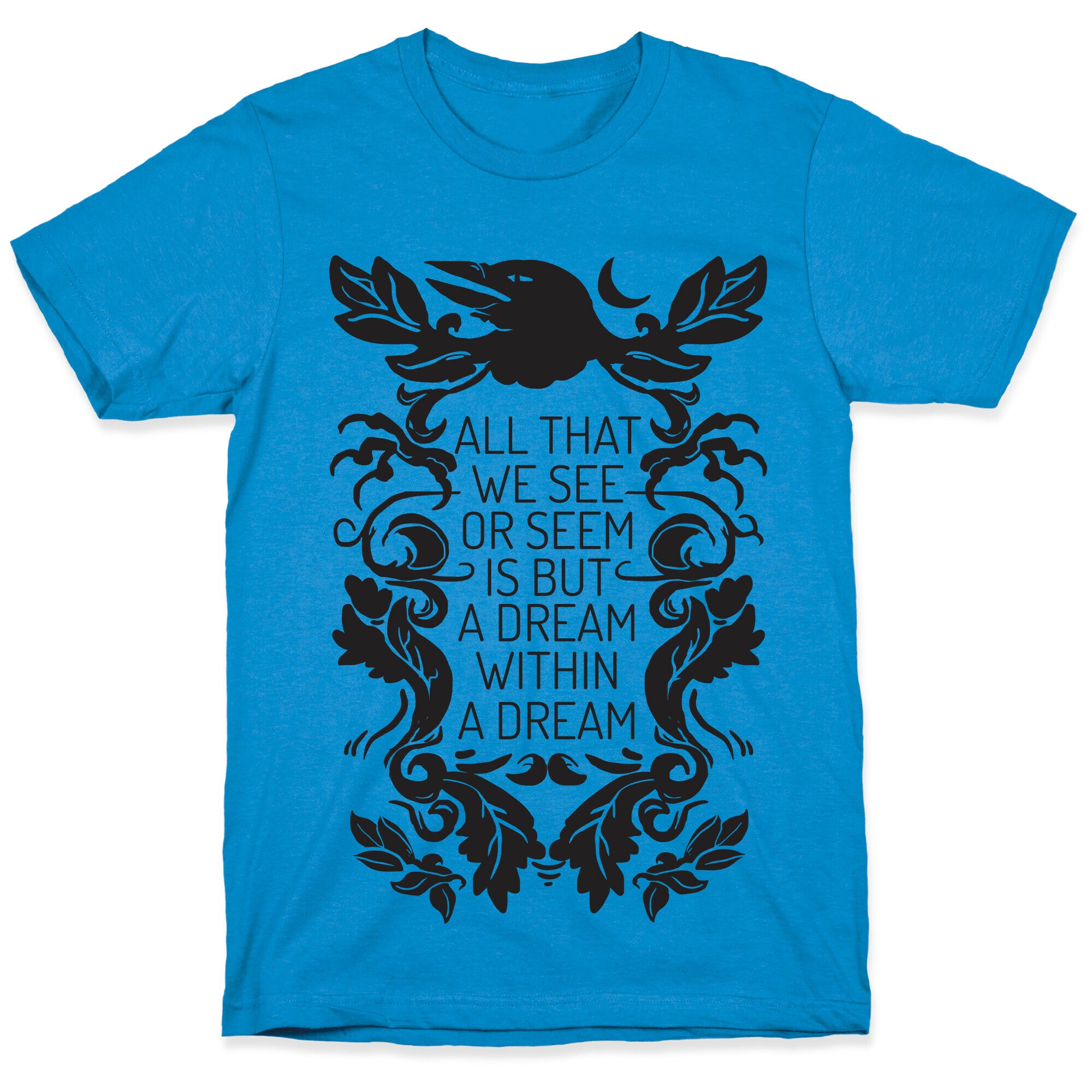 All That We See Or Seem Is But A Dream Within A Dream T-Shirt