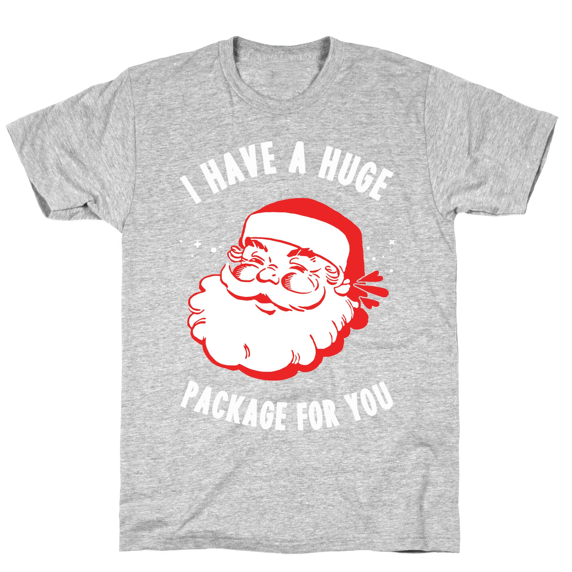 I Have A Huge Package For You Santa T-Shirt