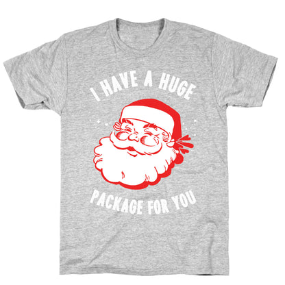 I Have A Huge Package For You Santa T-Shirt