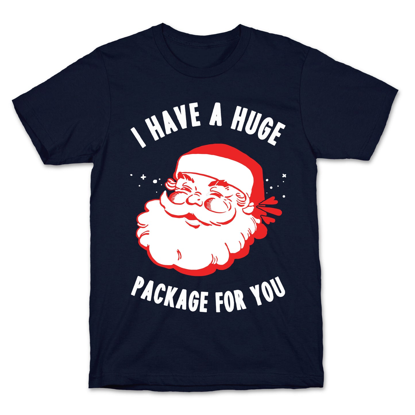 I Have A Huge Package For You Santa T-Shirt