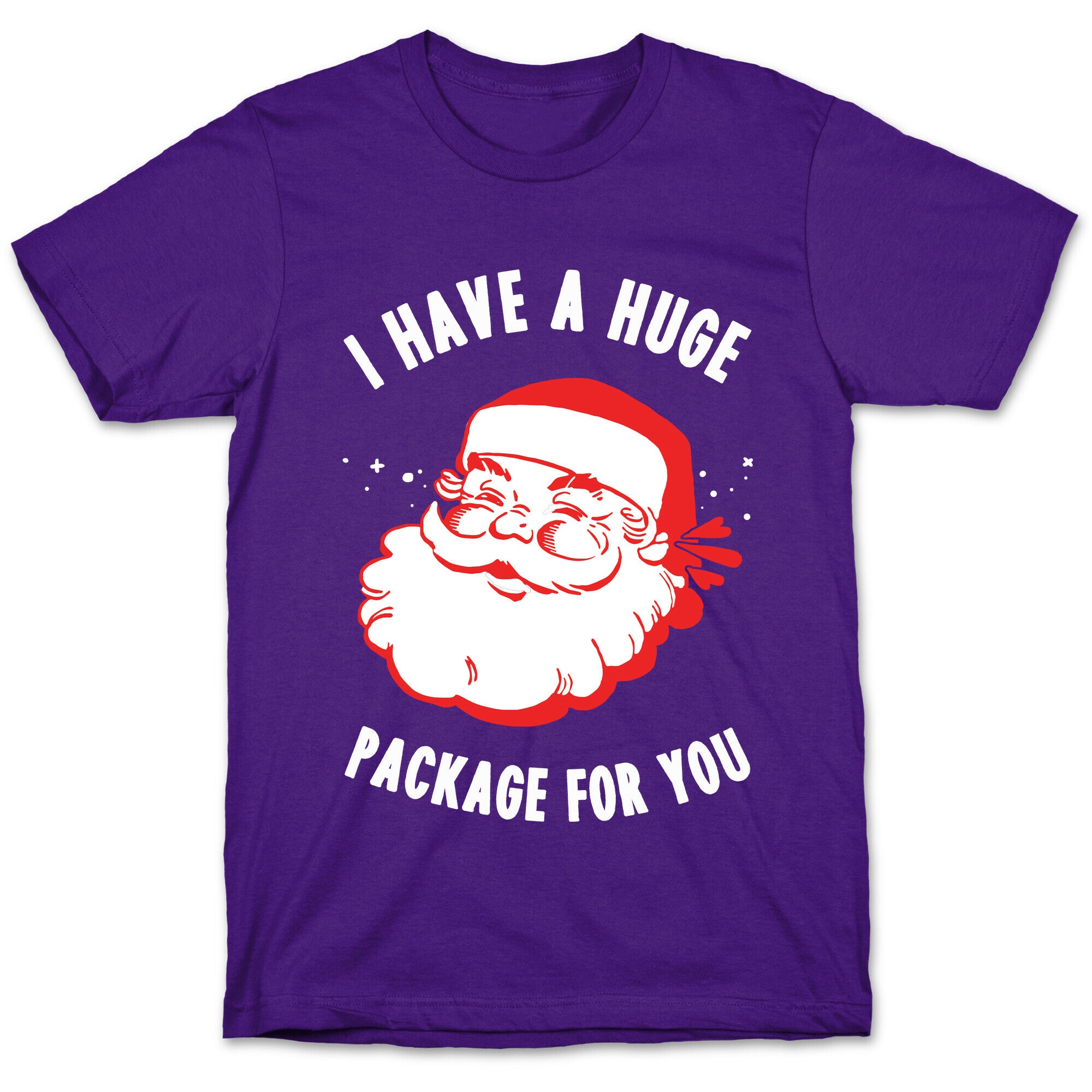 I Have A Huge Package For You Santa T-Shirt