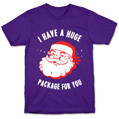 I Have A Huge Package For You Santa T-Shirt