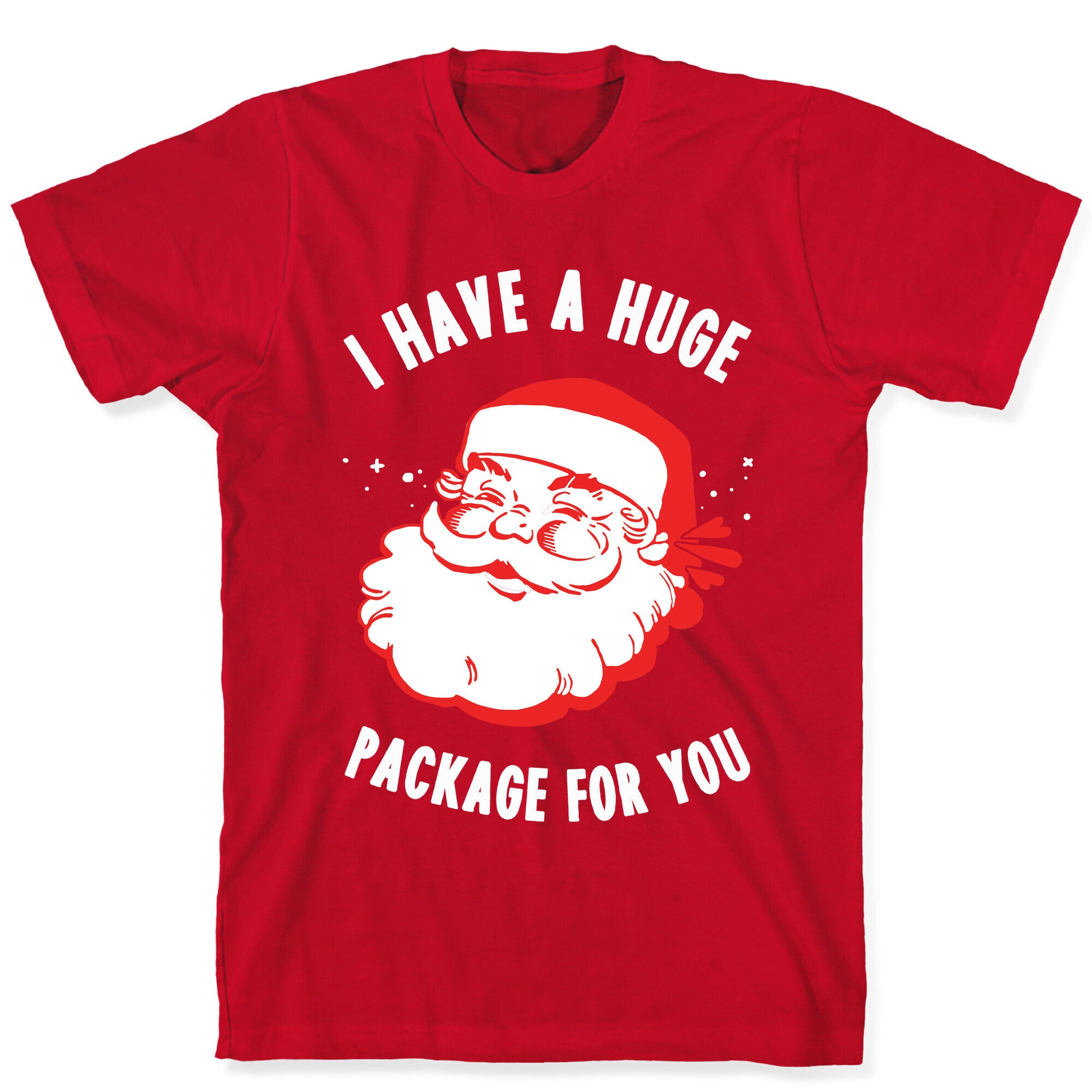 I Have A Huge Package For You Santa T-Shirt