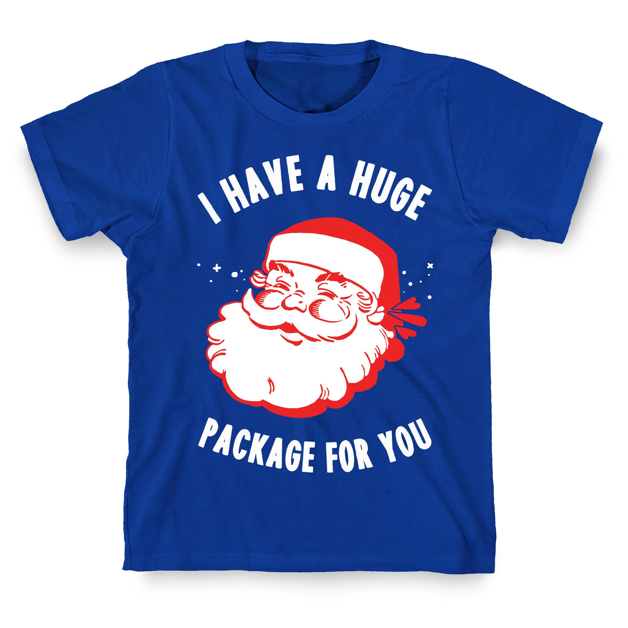 I Have A Huge Package For You Santa T-Shirt