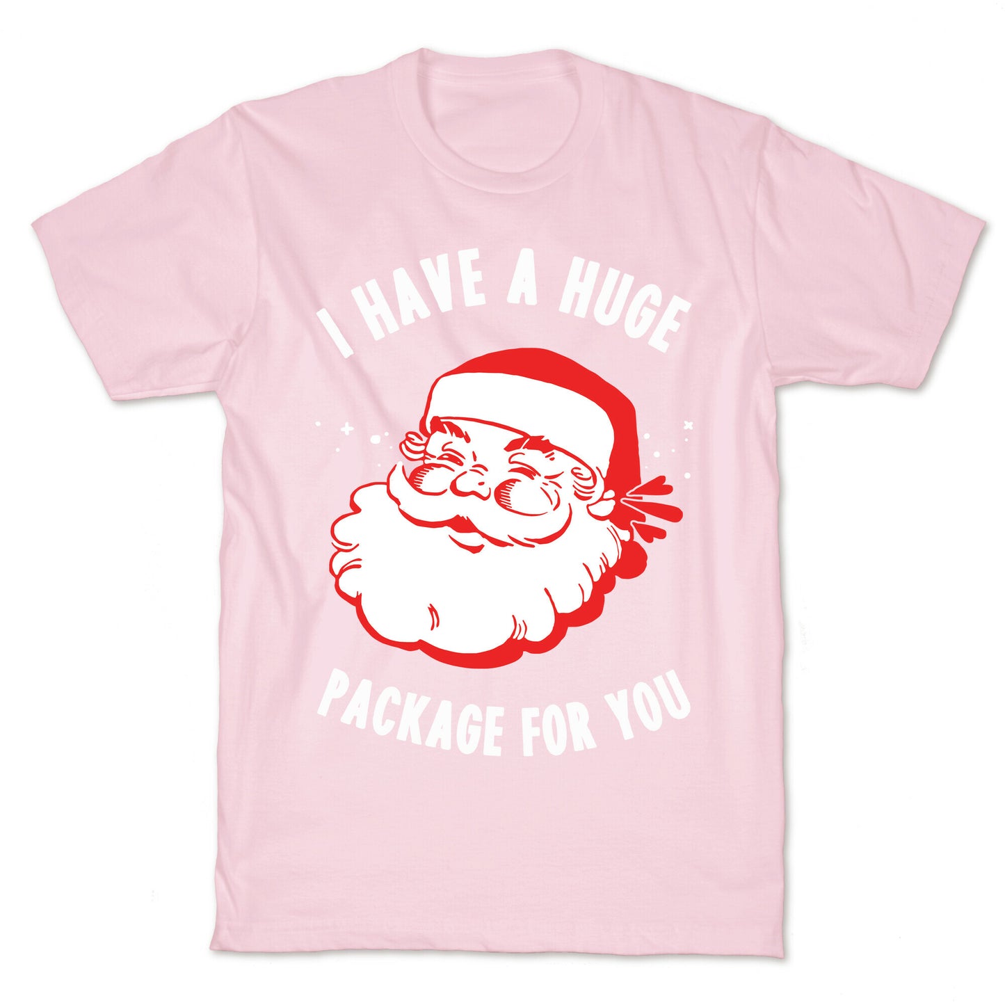 I Have A Huge Package For You Santa T-Shirt