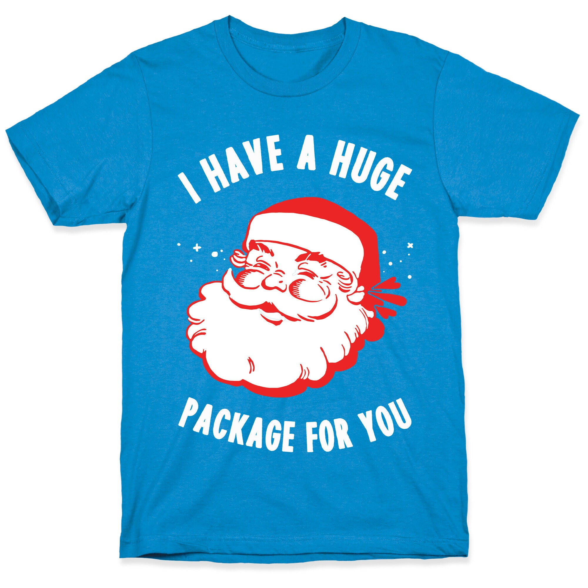 I Have A Huge Package For You Santa T-Shirt