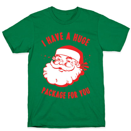 I Have A Huge Package For You Santa T-Shirt