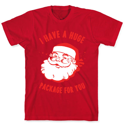 I Have A Huge Package For You Santa T-Shirt