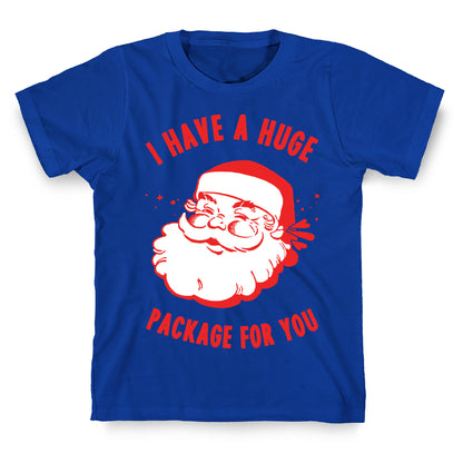 I Have A Huge Package For You Santa T-Shirt
