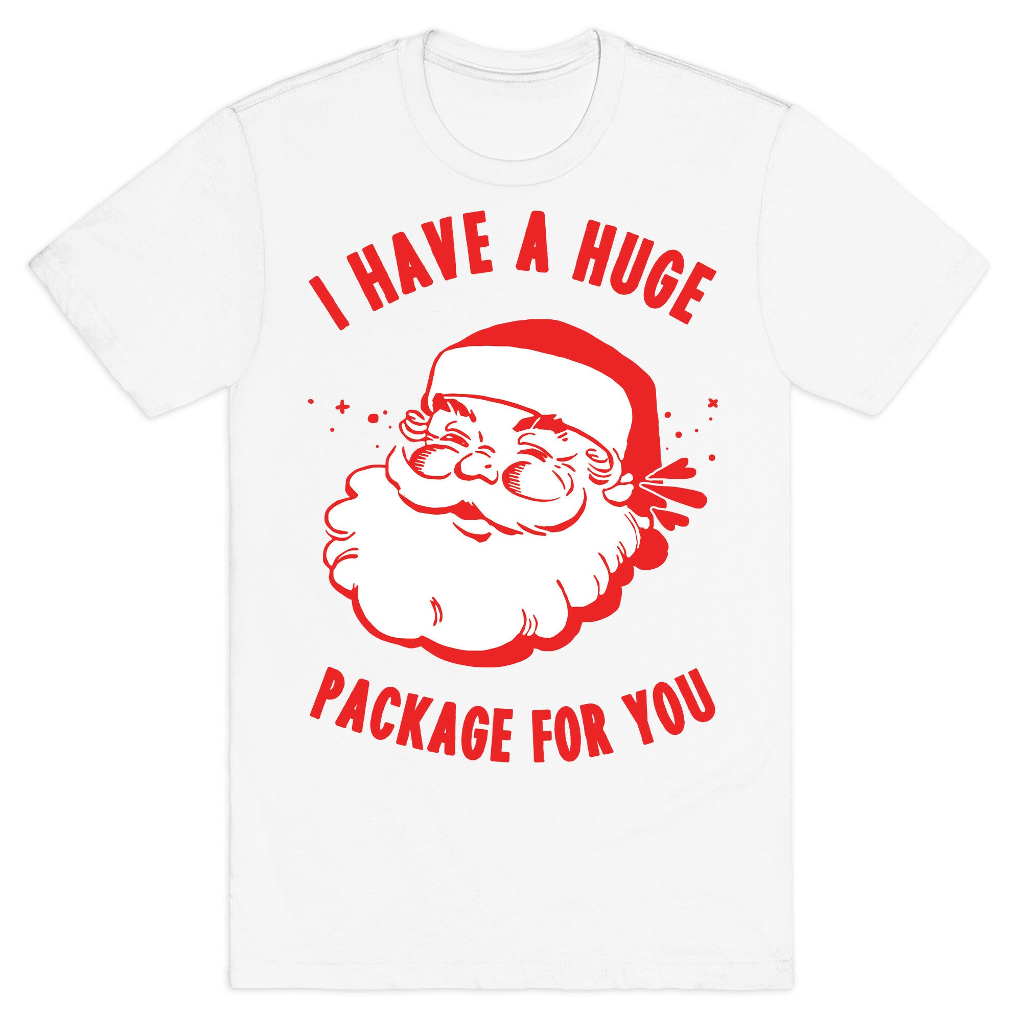 I Have A Huge Package For You Santa T-Shirt