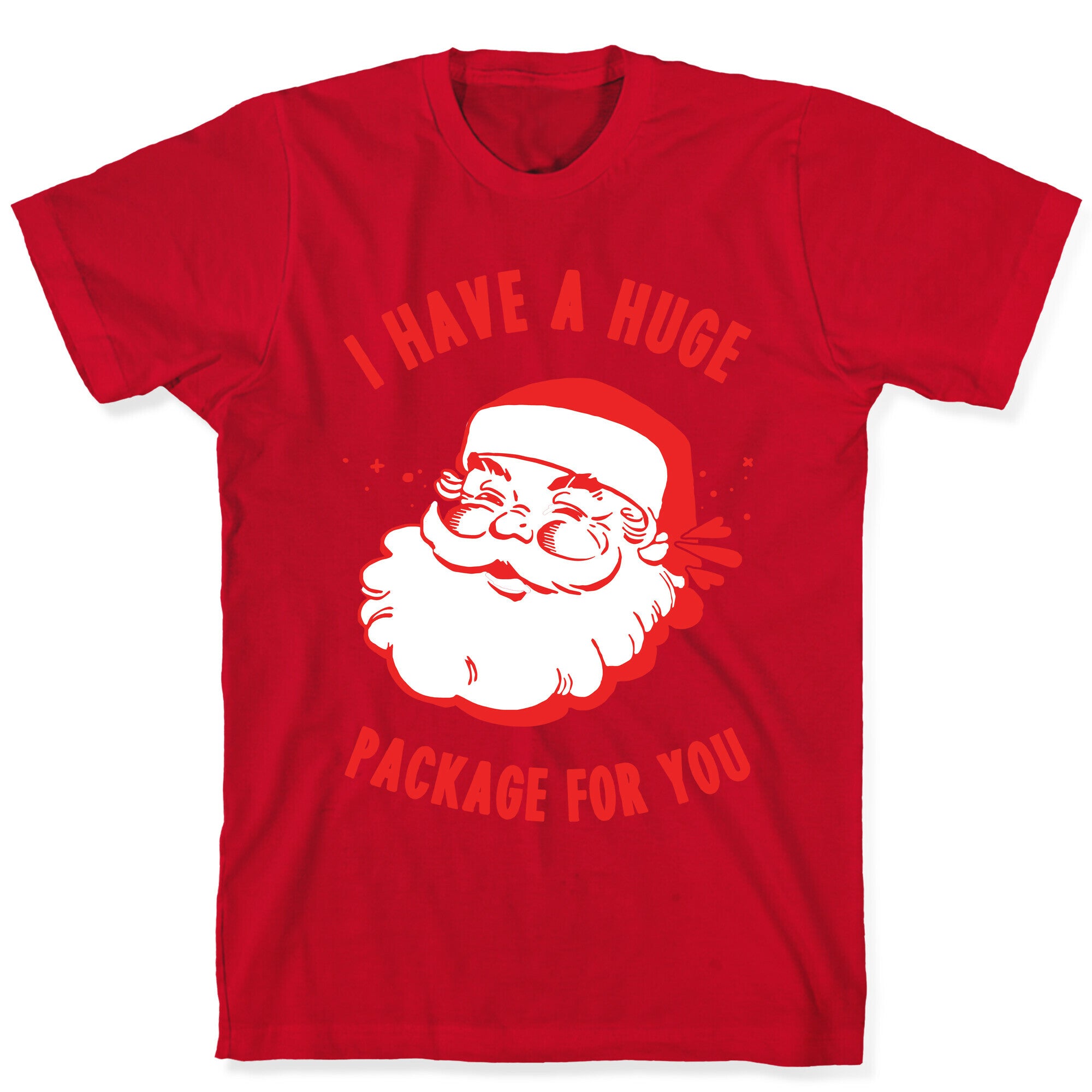 I Have A Huge Package For You Santa T-Shirt