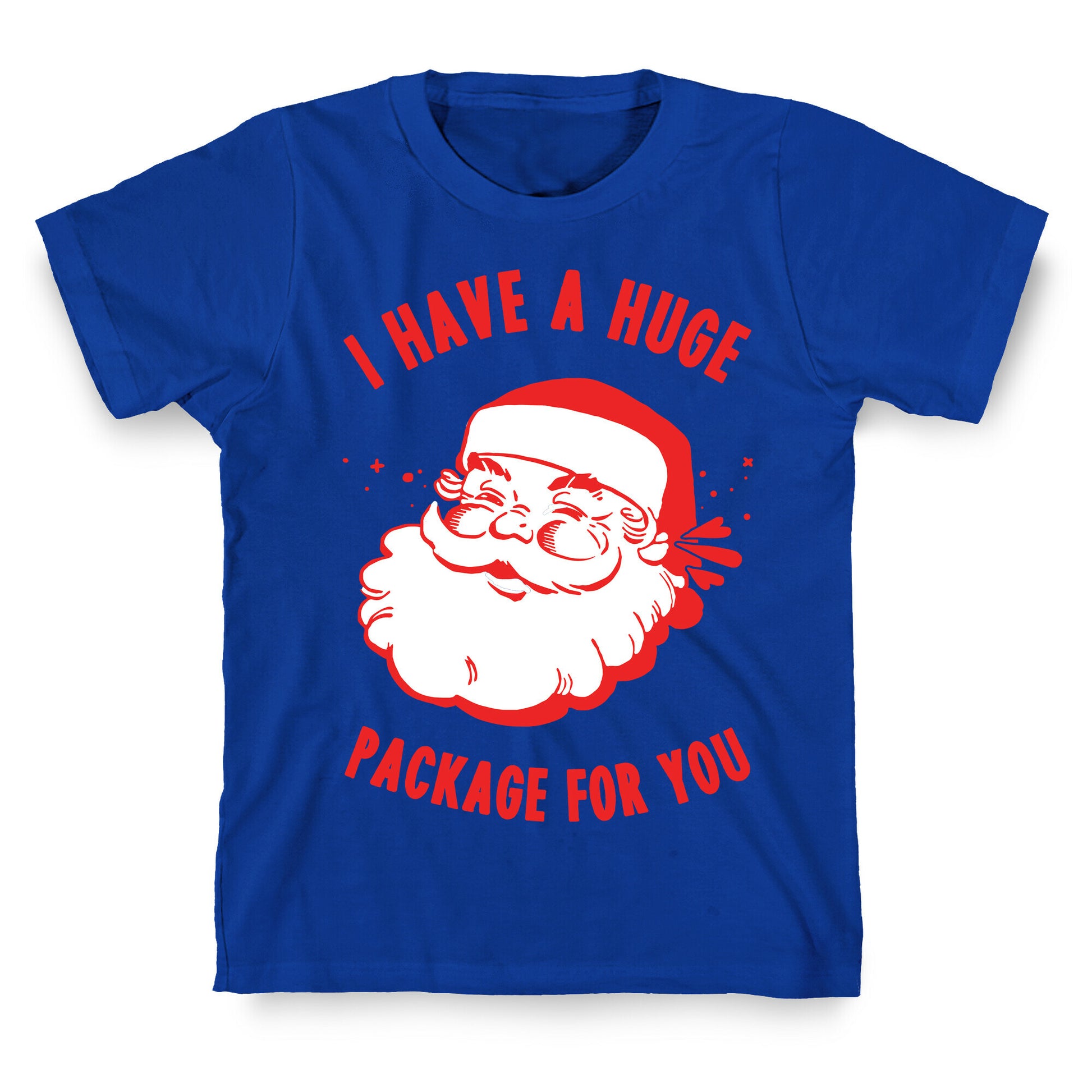 I Have A Huge Package For You Santa T-Shirt
