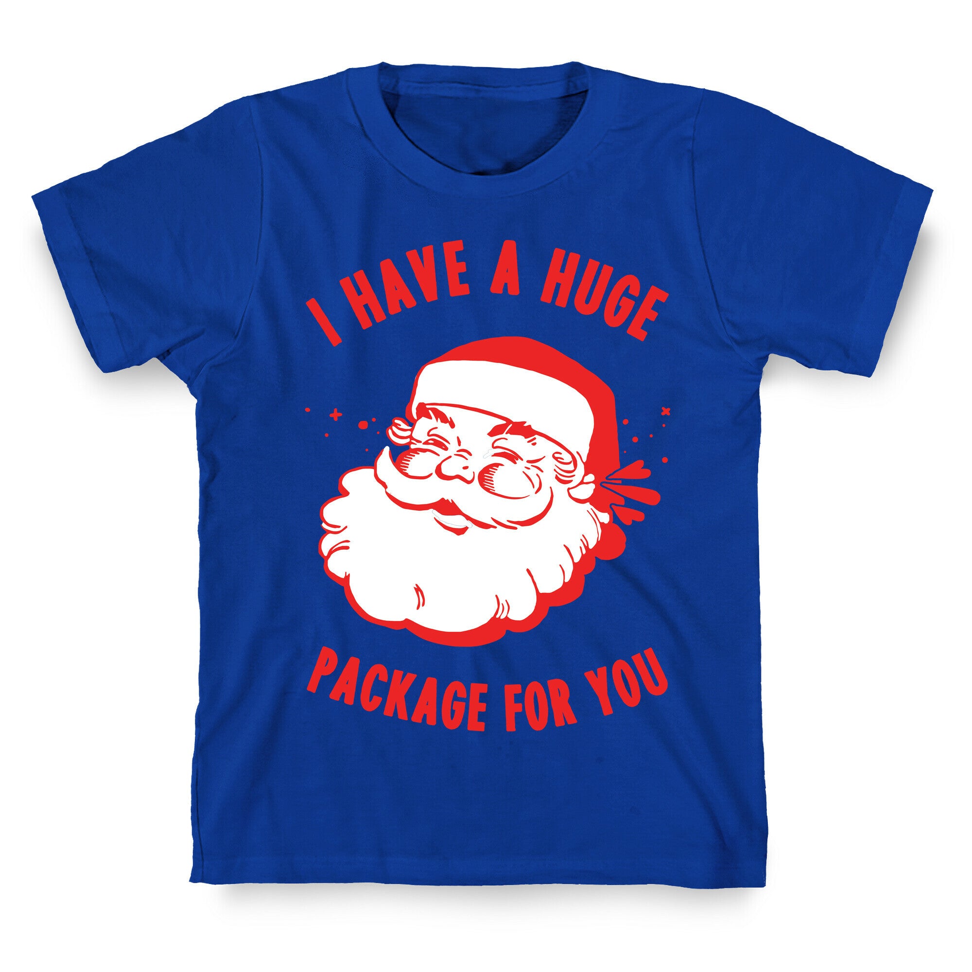 I Have A Huge Package For You Santa T-Shirt