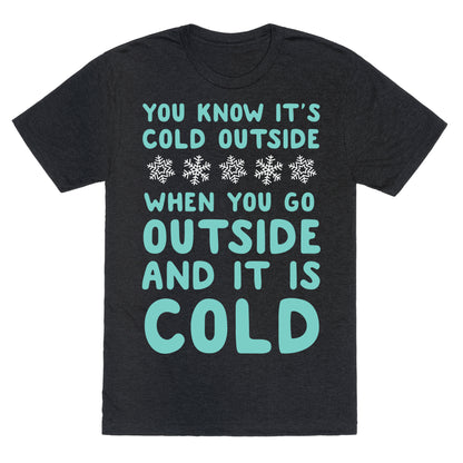 You Know It's Cold Outside Unisex Triblend Tee