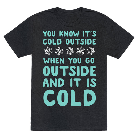 You Know It's Cold Outside Unisex Triblend Tee