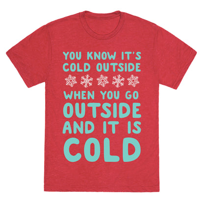 You Know It's Cold Outside Unisex Triblend Tee