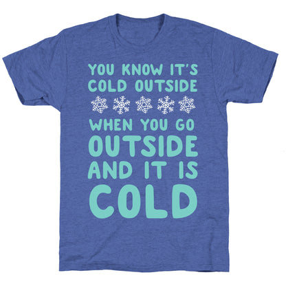 You Know It's Cold Outside Unisex Triblend Tee