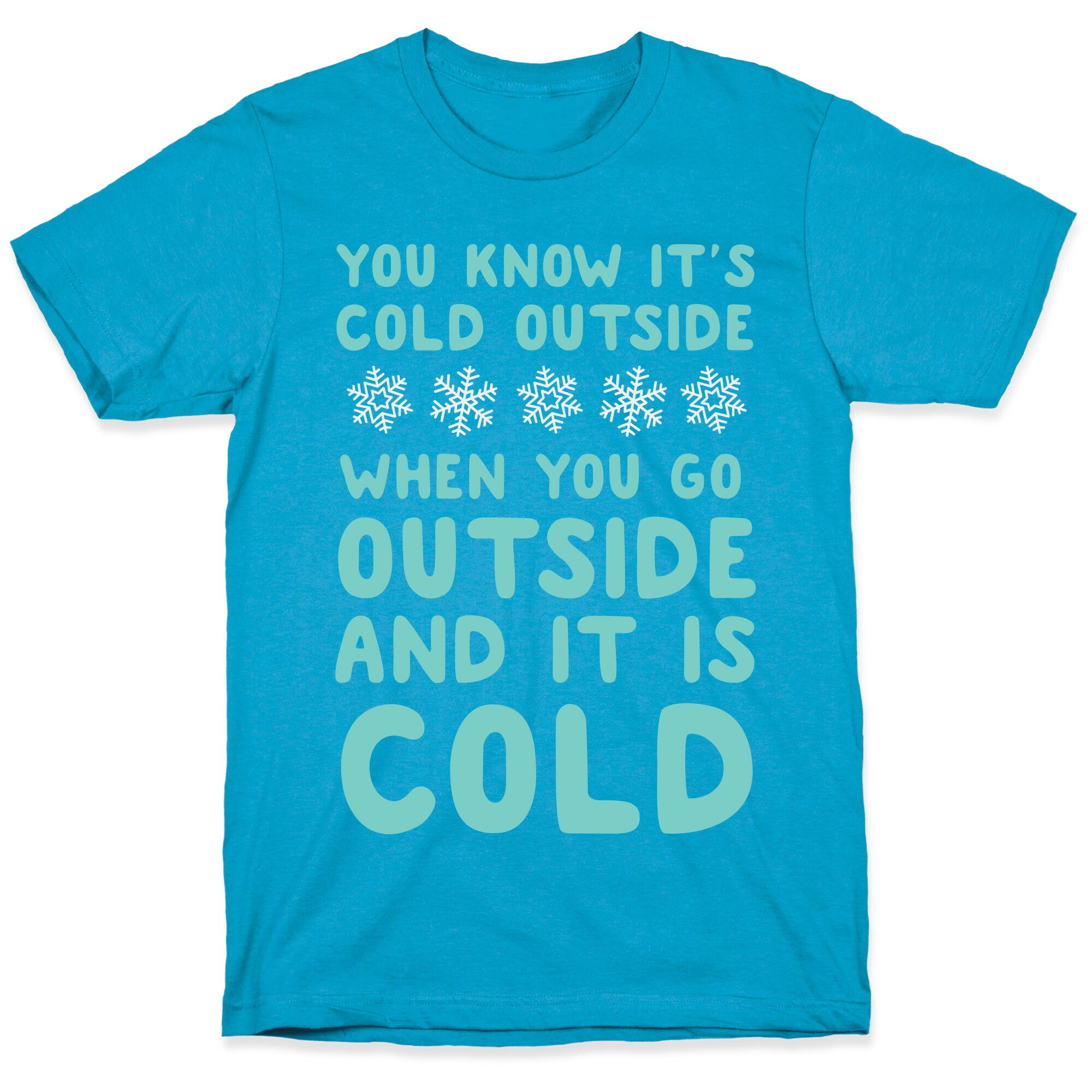 You Know It's Cold Outside Unisex Triblend Tee