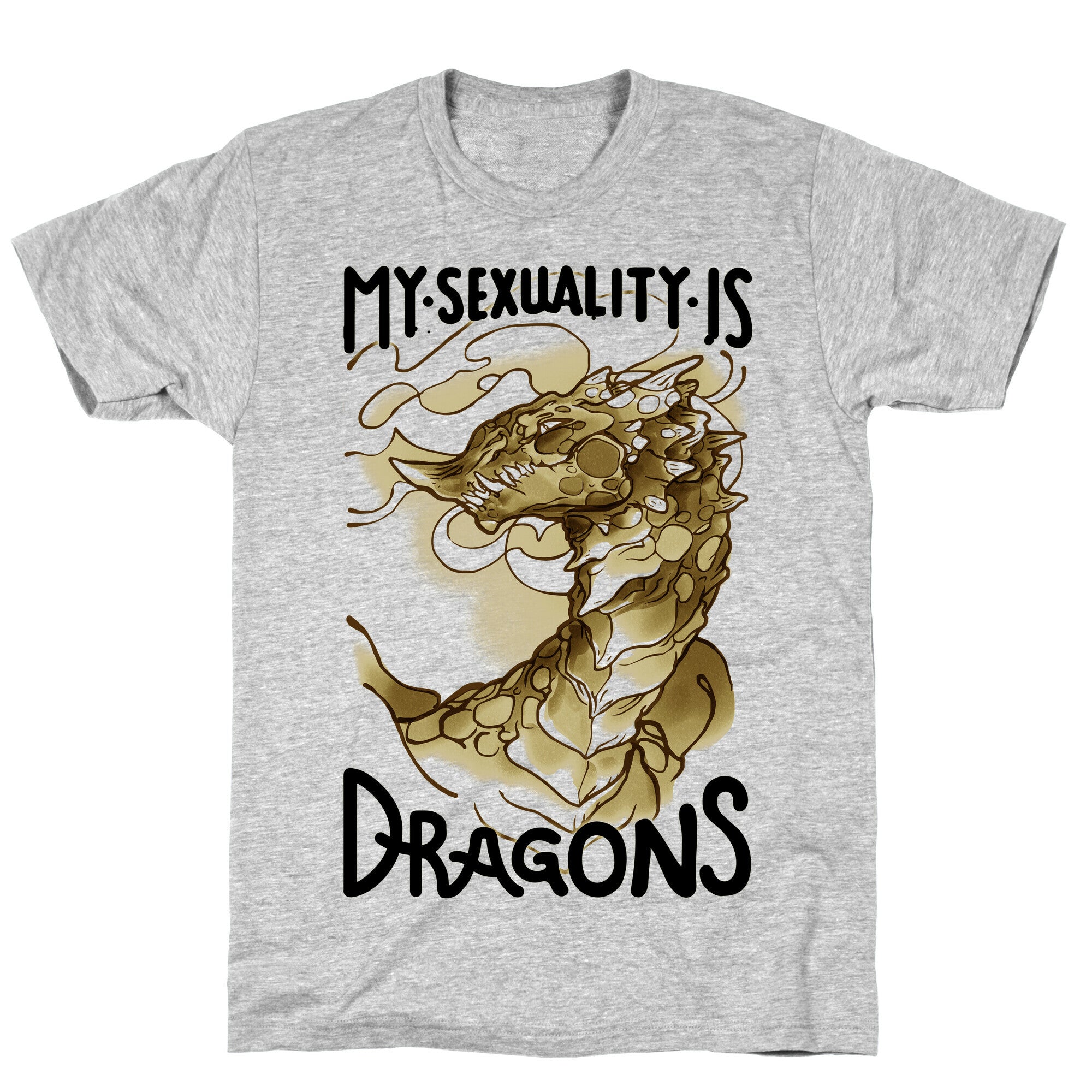 My Sexuality Is Dragons T-Shirt