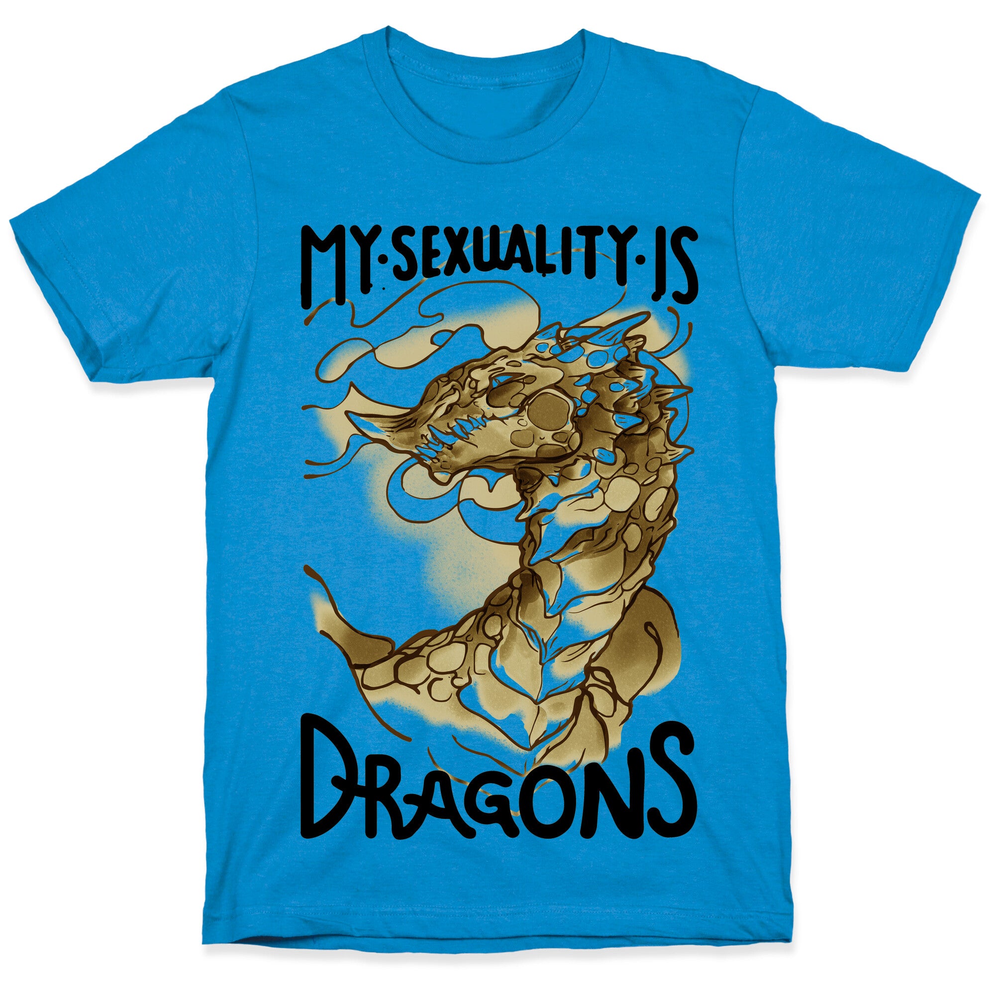 My Sexuality Is Dragons T-Shirt